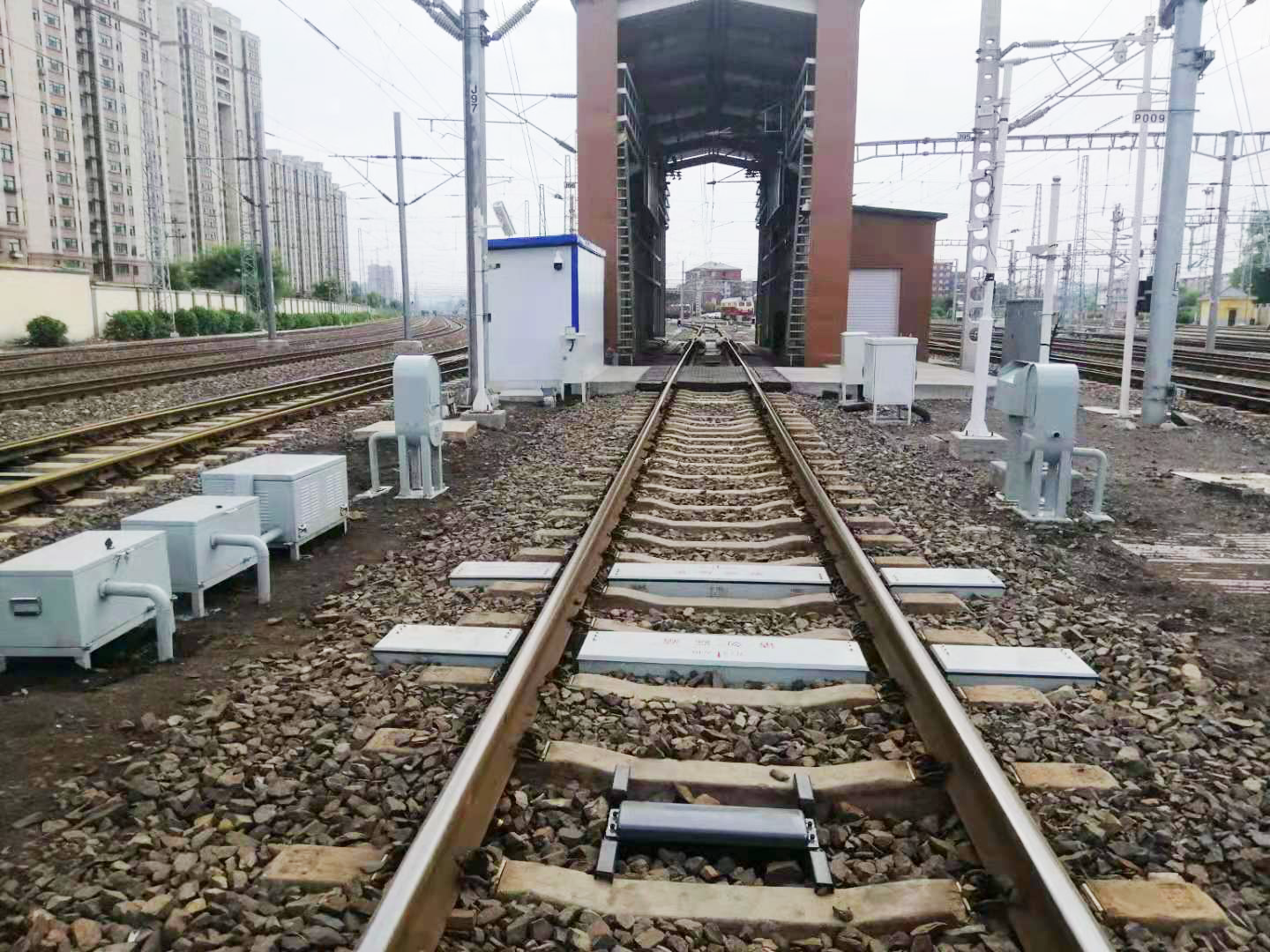 1697607375314881.jpg 1697607375314881.jpg